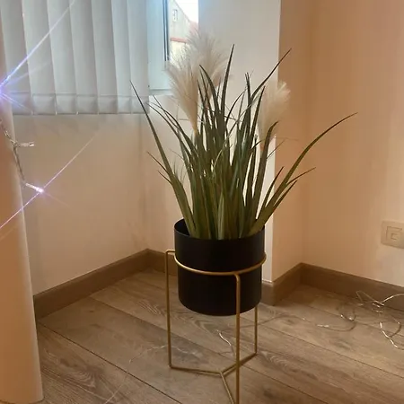 Modern Centrum Appartement