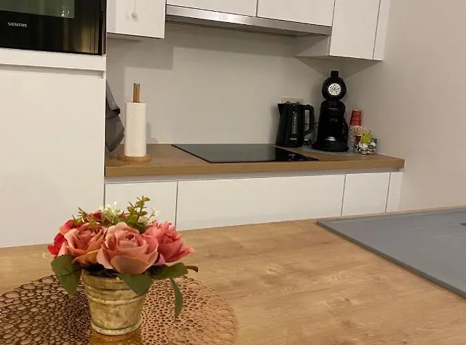 Modern Centrum Apartment