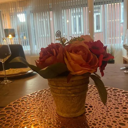 Modern Centrum 公寓